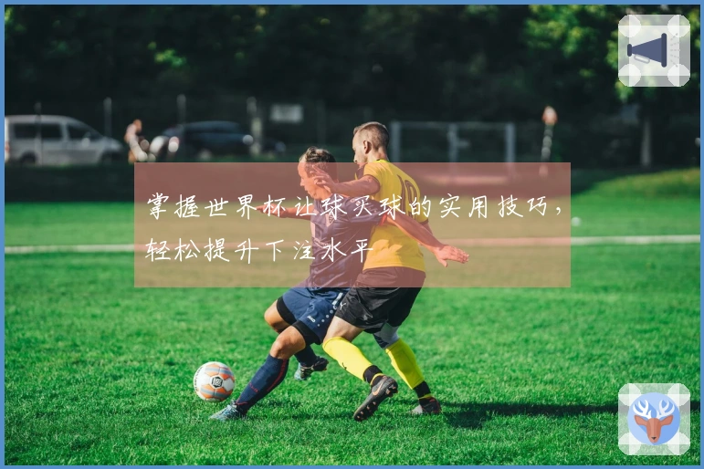 掌握世界杯让球买球的实用技巧，轻松提升下注水平