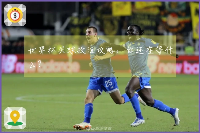 世界杯买球投注攻略，你还在等什么？