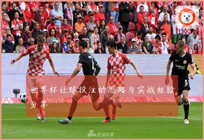世界杯让球投注的思路与实战经验分享