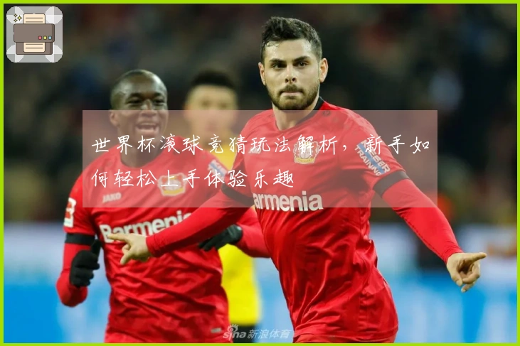 世界杯滚球竞猜玩法解析，新手如何轻松上手体验乐趣