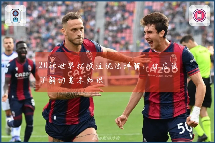 2026世界杯投注玩法详解，你应该了解的基本知识