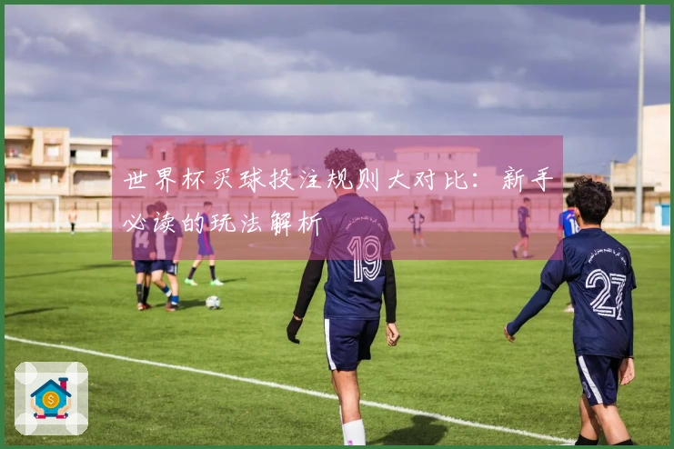 世界杯买球投注规则大对比：新手必读的玩法解析