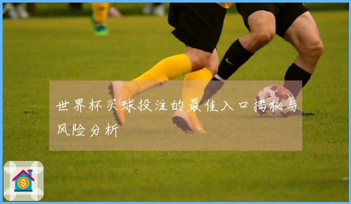 世界杯买球投注的最佳入口揭秘与风险分析
