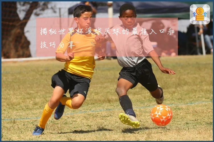 揭秘世界杯滚球买球的最佳入口和技巧分享