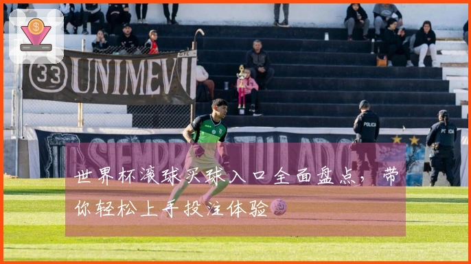 世界杯滚球买球入口全面盘点，带你轻松上手投注体验
