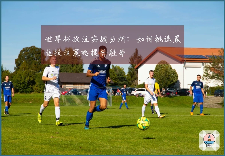 世界杯投注实战分析：如何挑选最佳投注策略提升胜率