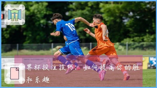 世界杯投注技巧：如何提高你的胜率和乐趣