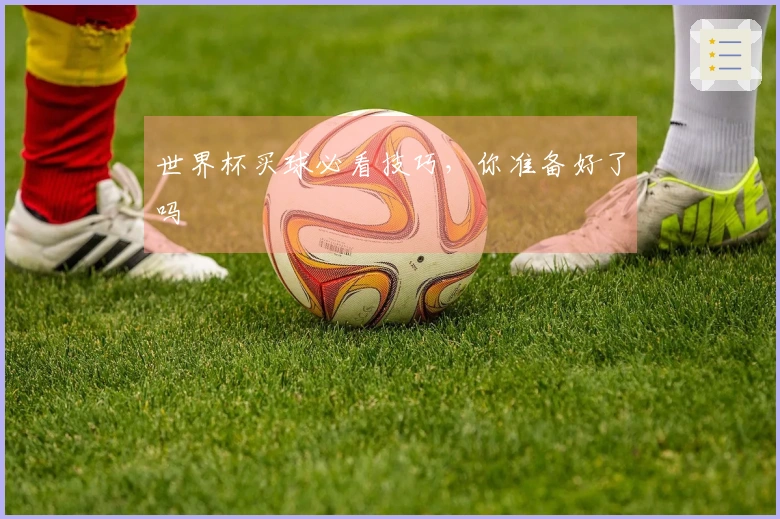 世界杯买球必看技巧，你准备好了吗