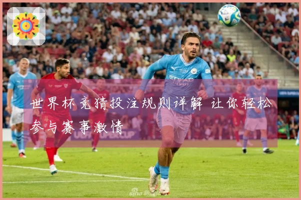 世界杯竞猜投注规则详解 让你轻松参与赛事激情