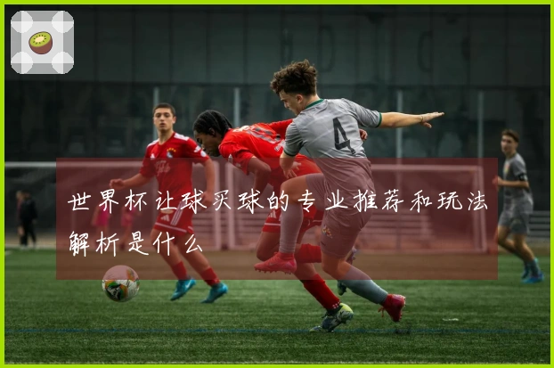 世界杯让球买球的专业推荐和玩法解析是什么